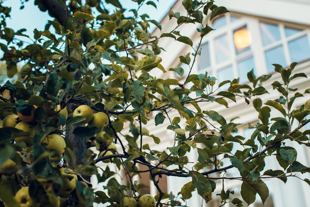 Boutique Hotel Villa P Uzhhorod Exterior foto
